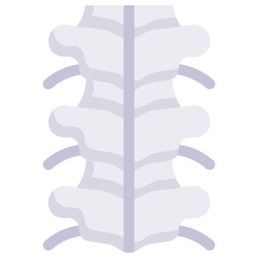 Spine Surgery icon