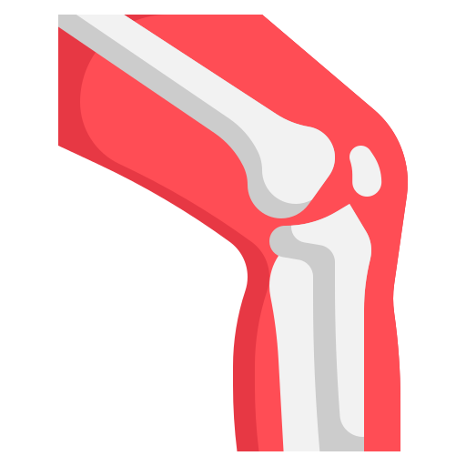 Orthopedics icon